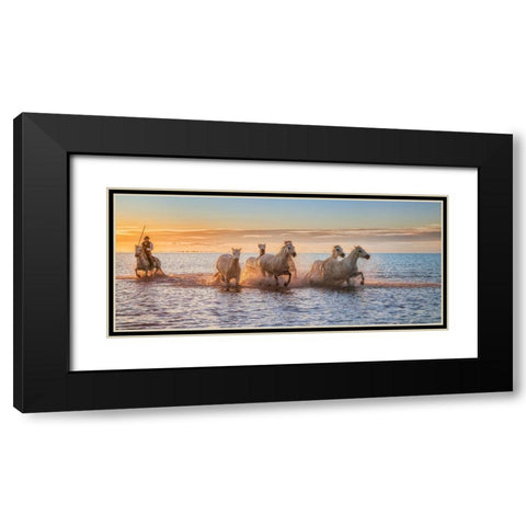 Camargue Horses Ii Black Modern Wood Framed Art Print with Double Matting by Figueras Barranco, Antoni
