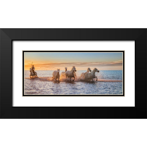 Camargue Horses Ii Black Modern Wood Framed Art Print with Double Matting by Figueras Barranco, Antoni