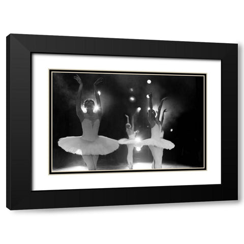 Swan Lake Black Modern Wood Framed Art Print with Double Matting by Pobat, Alexandr
