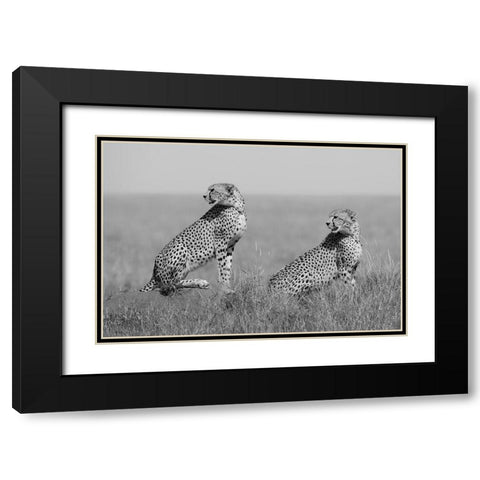 Whats Going On Here Around? Black Modern Wood Framed Art Print with Double Matting by Pozzi, Marco