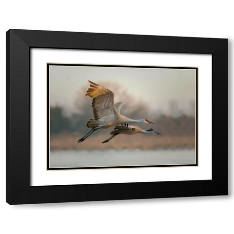 Together Black Modern Wood Framed Art Print with Double Matting by Feng, Young