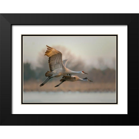 Together Black Modern Wood Framed Art Print with Double Matting by Feng, Young