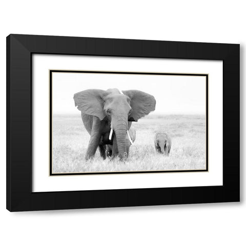 Stay Away! Black Modern Wood Framed Art Print with Double Matting by Fan, John