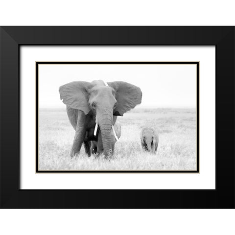 Stay Away! Black Modern Wood Framed Art Print with Double Matting by Fan, John