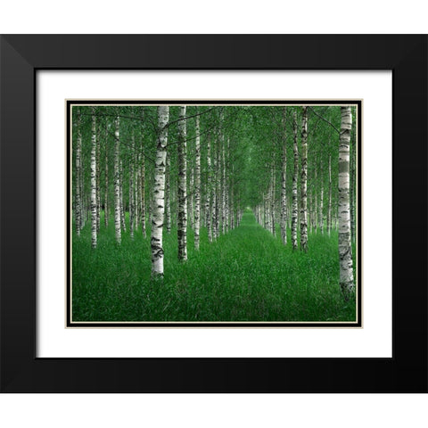 The Tunnel Black Modern Wood Framed Art Print with Double Matting by Lindsten, Christian
