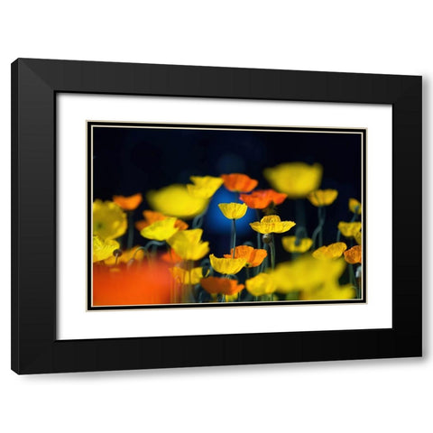 One Point Black Modern Wood Framed Art Print with Double Matting by Suzuki, Takashi