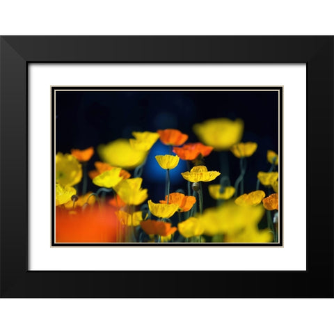 One Point Black Modern Wood Framed Art Print with Double Matting by Suzuki, Takashi