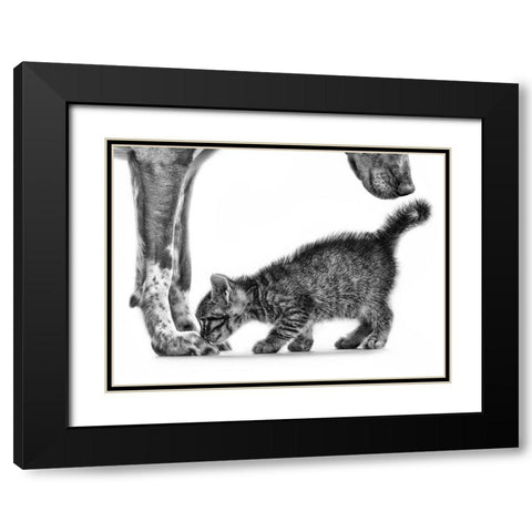 Smell Me Black Modern Wood Framed Art Print with Double Matting by Pi, Monte