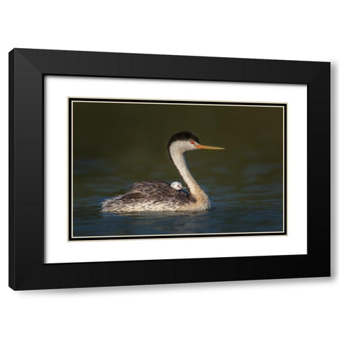 Front Seat View Black Modern Wood Framed Art Print with Double Matting by Barsh, Greg