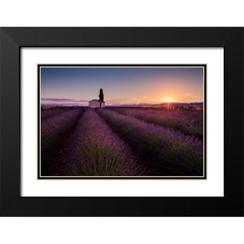 Provence Lavender Black Modern Wood Framed Art Print with Double Matting by Luo, Donald