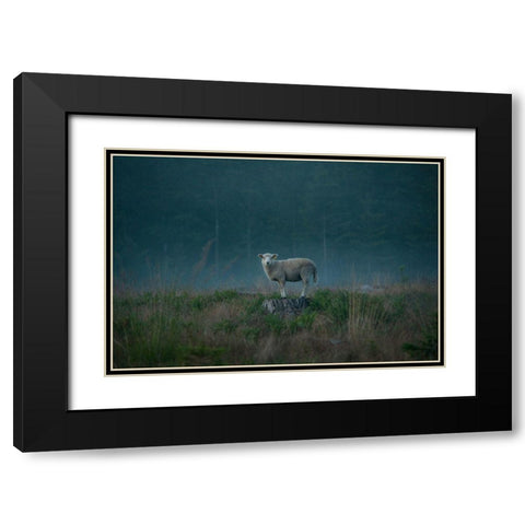 Moody Sheep Black Modern Wood Framed Art Print with Double Matting by Lindsten, Christian