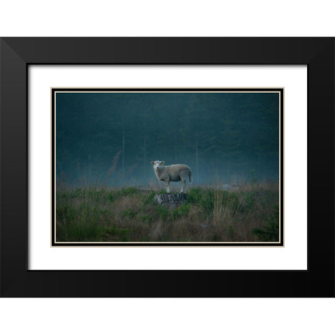 Moody Sheep Black Modern Wood Framed Art Print with Double Matting by Lindsten, Christian