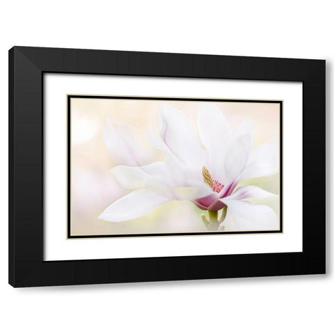 Purity Black Modern Wood Framed Art Print with Double Matting by Parker, Jacky