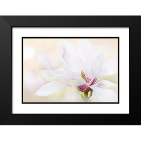 Purity Black Modern Wood Framed Art Print with Double Matting by Parker, Jacky
