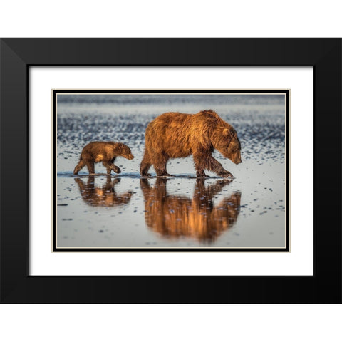 Beauty And The Beast Black Modern Wood Framed Art Print with Double Matting by C. Sink, Jeffrey