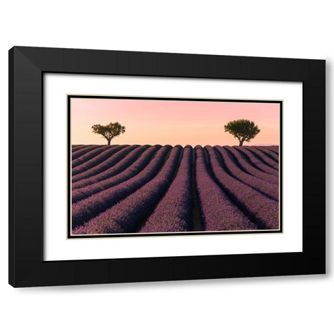 Lavender Field Black Modern Wood Framed Art Print with Double Matting by Kevin