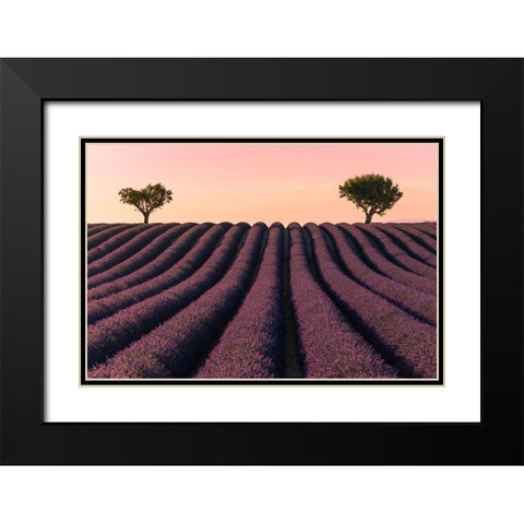 Lavender Field Black Modern Wood Framed Art Print with Double Matting by Kevin