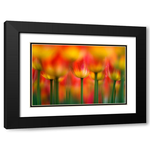 Side By Side Black Modern Wood Framed Art Print with Double Matting by Suzuki, Takashi