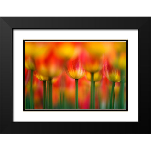 Side By Side Black Modern Wood Framed Art Print with Double Matting by Suzuki, Takashi