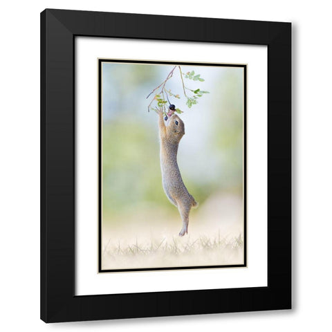 Stretch Jump Black Modern Wood Framed Art Print with Double Matting by Spranz, Henrik