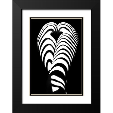 Zebra Ass 2 Black Modern Wood Framed Art Print with Double Matting by Faletkin, Mikhail
