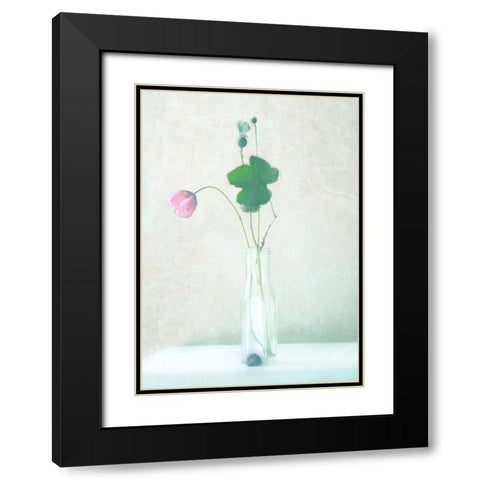 The Pink Flower Black Modern Wood Framed Art Print with Double Matting by Devos, Delphine