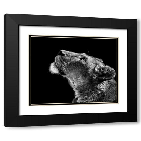Looking Up Black Modern Wood Framed Art Print with Double Matting by Meermann, Christian