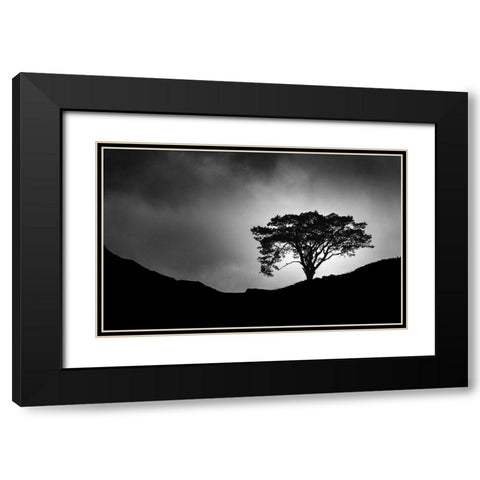 Lone Tree Black Modern Wood Framed Art Print with Double Matting by Meermann, Christian