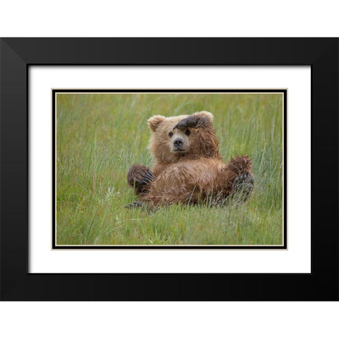 Whos There ? Black Modern Wood Framed Art Print with Double Matting by Doyle, Renee