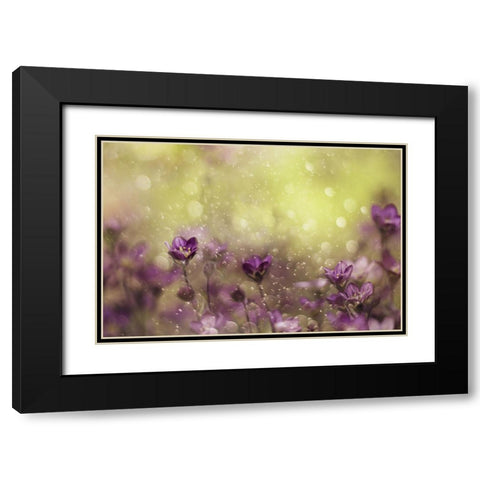 Purple Dream Black Modern Wood Framed Art Print with Double Matting by Devos, Delphine