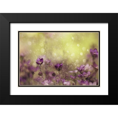 Purple Dream Black Modern Wood Framed Art Print with Double Matting by Devos, Delphine