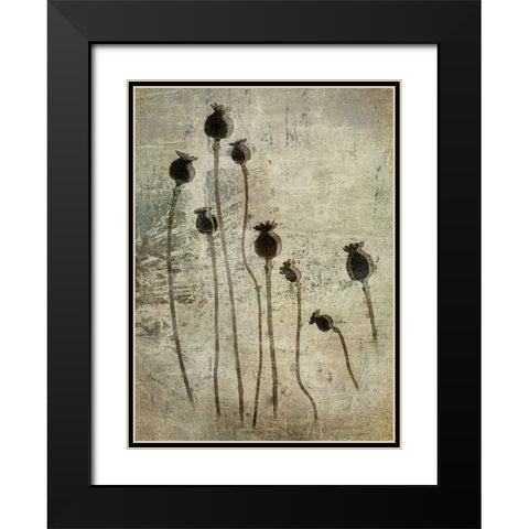 Poppy Seedlings Black Modern Wood Framed Art Print with Double Matting by Talen, Nel