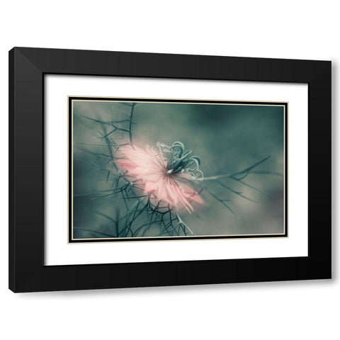 The Virgin Black Modern Wood Framed Art Print with Double Matting by Westum, Heidi