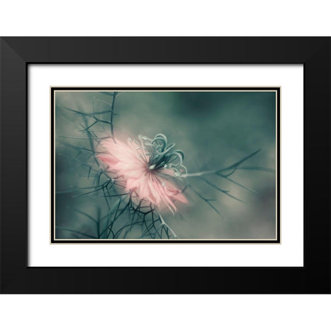 The Virgin Black Modern Wood Framed Art Print with Double Matting by Westum, Heidi