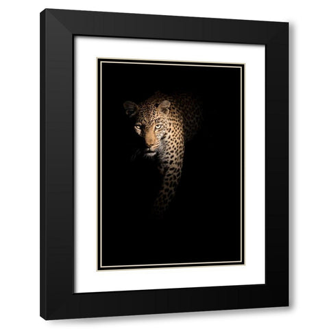 Out Of The Darkness Black Modern Wood Framed Art Print with Double Matting by Guijt, Richard