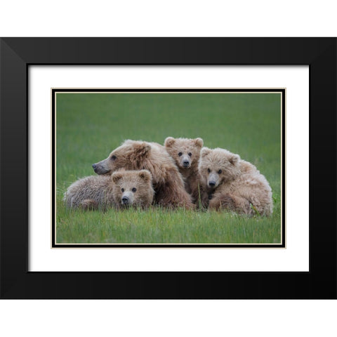 Bear Huddle Black Modern Wood Framed Art Print with Double Matting by Doyle, Renee