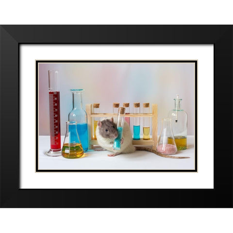 Qworkingq At The Lab Black Modern Wood Framed Art Print with Double Matting by Van Deelen, Ellen