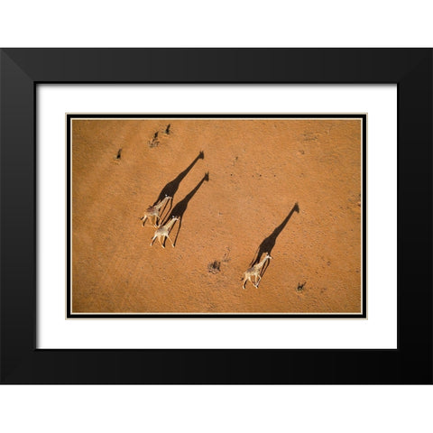 Walking Under Sunset Black Modern Wood Framed Art Print with Double Matting by Fan, John