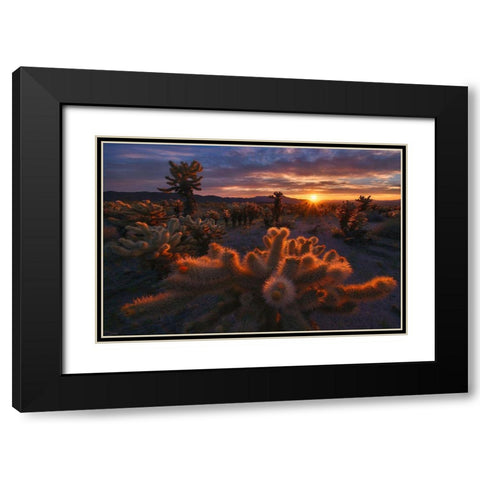Cholla Garden Black Modern Wood Framed Art Print with Double Matting by Cia, Inigo