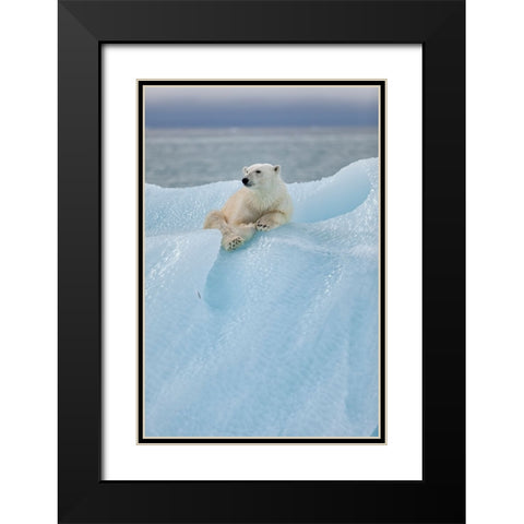 Relaxed Polar Bear Black Modern Wood Framed Art Print with Double Matting by Gil Raga, Joan