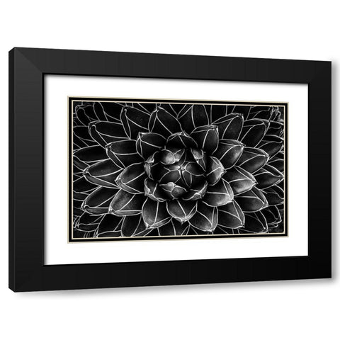 Natural Math Black Modern Wood Framed Art Print with Double Matting by Valentina Patrascoiu, Monica