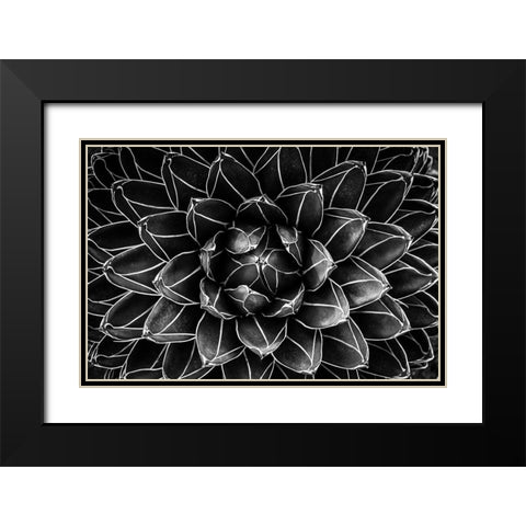 Natural Math Black Modern Wood Framed Art Print with Double Matting by Valentina Patrascoiu, Monica