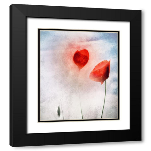 In Flanders Fields Black Modern Wood Framed Art Print with Double Matting by Claes, Gilbert