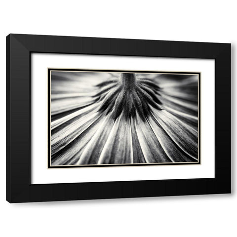 Feeling Down Black Modern Wood Framed Art Print with Double Matting by Van Der, Corinna