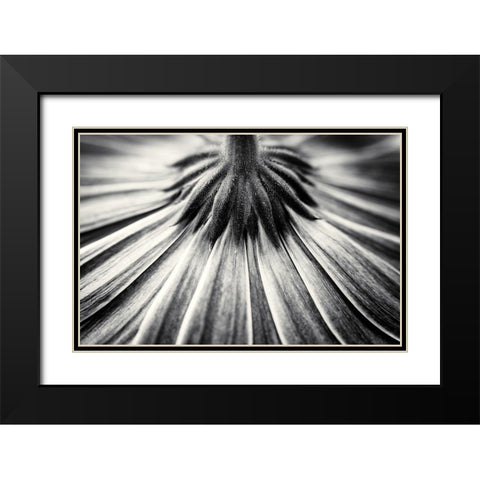 Feeling Down Black Modern Wood Framed Art Print with Double Matting by Van Der, Corinna