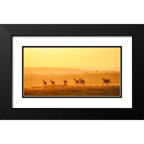 Towards Sunset Black Modern Wood Framed Art Print with Double Matting by Fan, John