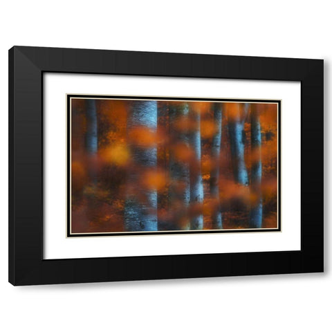Hidden Forest Black Modern Wood Framed Art Print with Double Matting by Zsolt Andras, Szabo