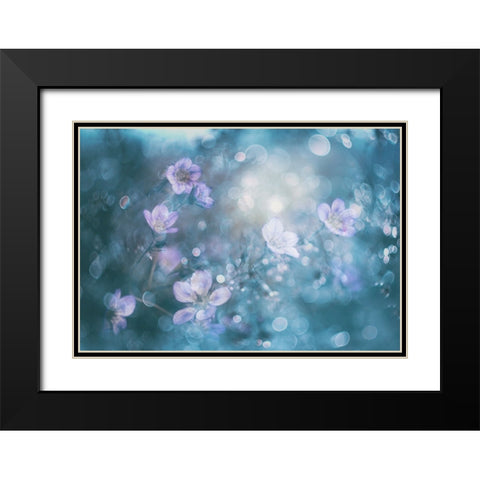 NatureS Jewelry Black Modern Wood Framed Art Print with Double Matting by Devos, Delphine