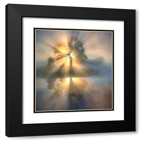 Tree Of Light Black Modern Wood Framed Art Print with Double Matting by Keller