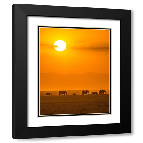 Elephants At Sunset Black Modern Wood Framed Art Print with Double Matting by Taylor, Ted
